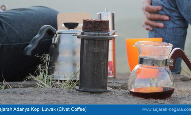 Sejarah Adanya Kopi Luwak (Civet Coffee)
