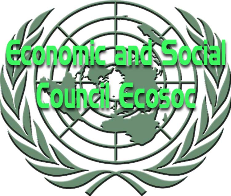 Dewan Ekonomi dan Sosial PBB (Economic and Social Council Ecosoc)