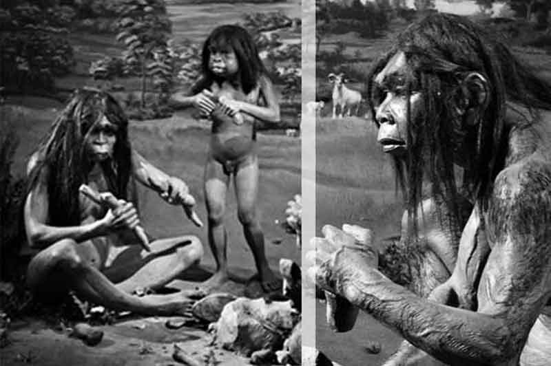 Glosarium kehidupan awal masyarakat Indonesia | Glosarium kehidupan awal masyarakat Indonesia kehidupan awal masyarakat Indonesia