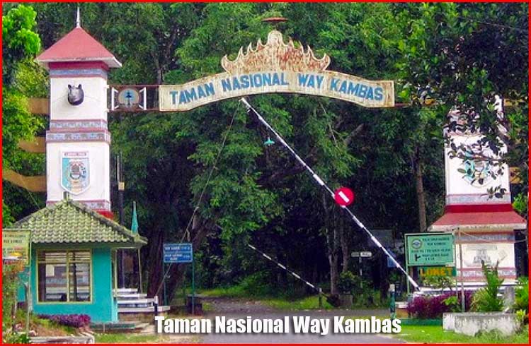 Taman Nasional Way Kambas Bandar Lampung