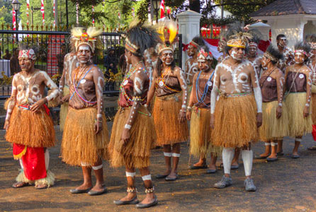 pakaian adat papua