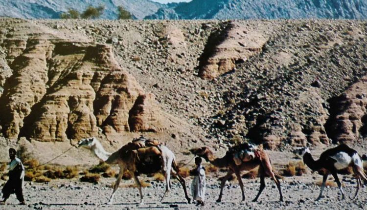 Gurun Sahara