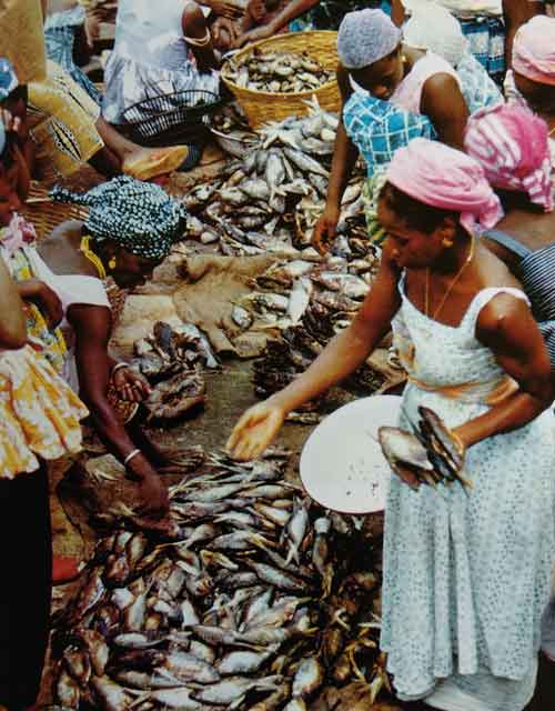 Pasar ikan di Freetown