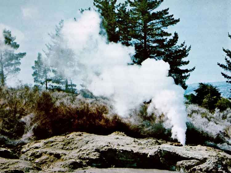 Geyser di Pulau Utara Selandia Baru