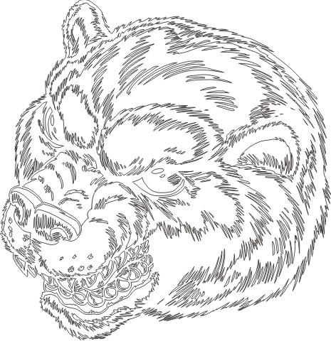 Bear5013008 outline