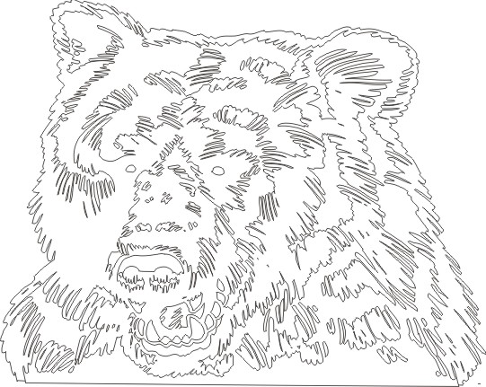 Bear5013009 outline