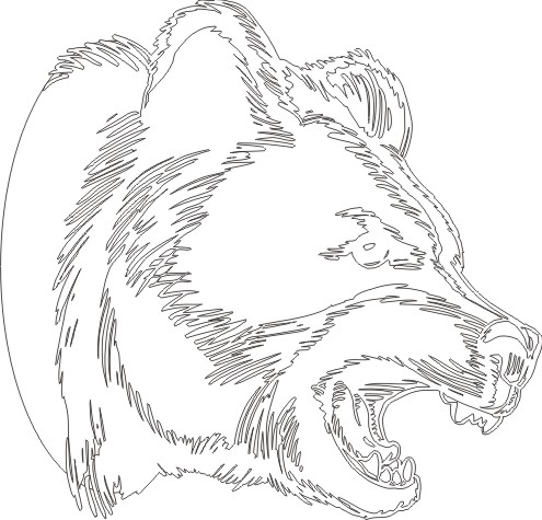 Bear5013010 outline