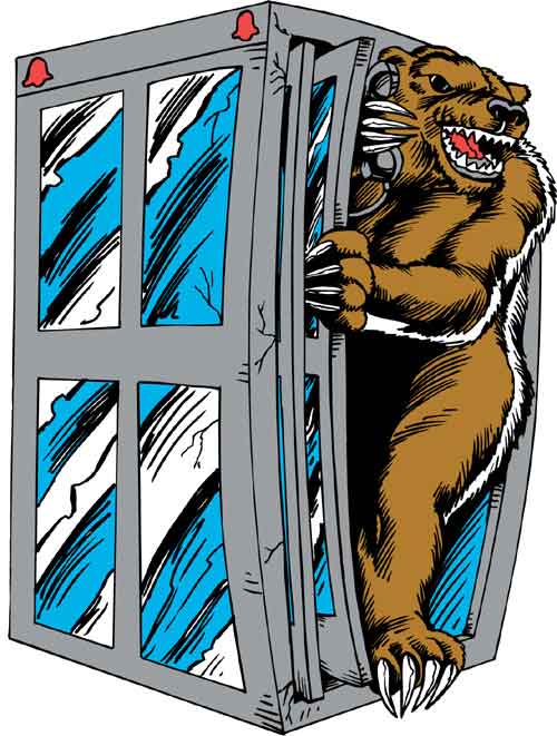 Bear5013011