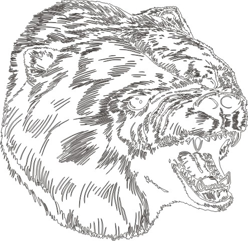 Bear5013015 outline