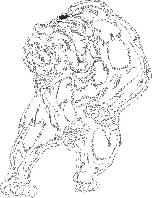 Bear5013016 outline