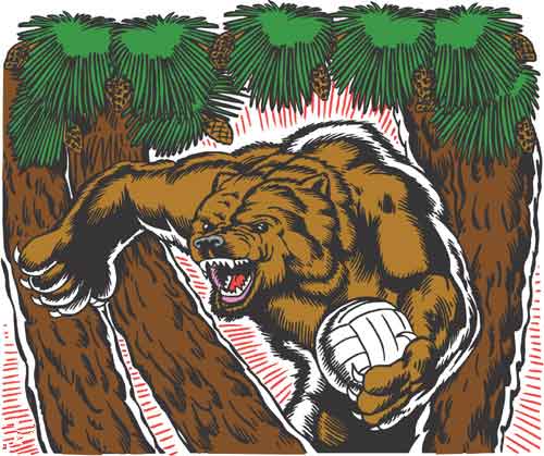 Bear5013019 Bear5013019