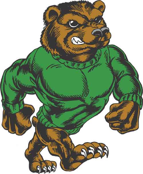 Bear5013301