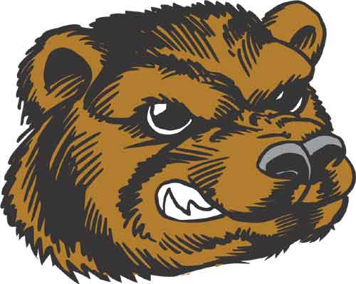 Bear5013341