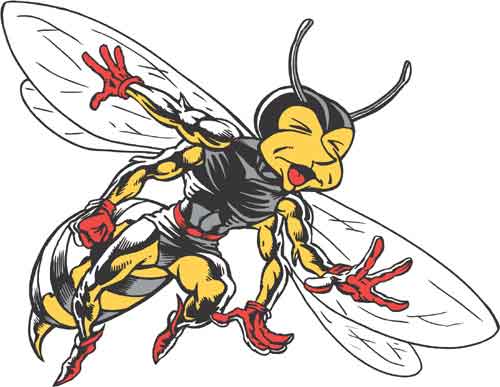 Bee5013024