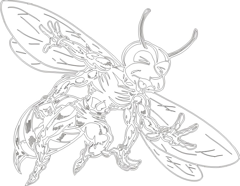 Bee5013024 outline