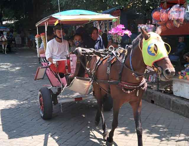 kereta kuda setu babakan betawi