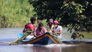 Guyana Negara Terbaik Untuk Bisnis