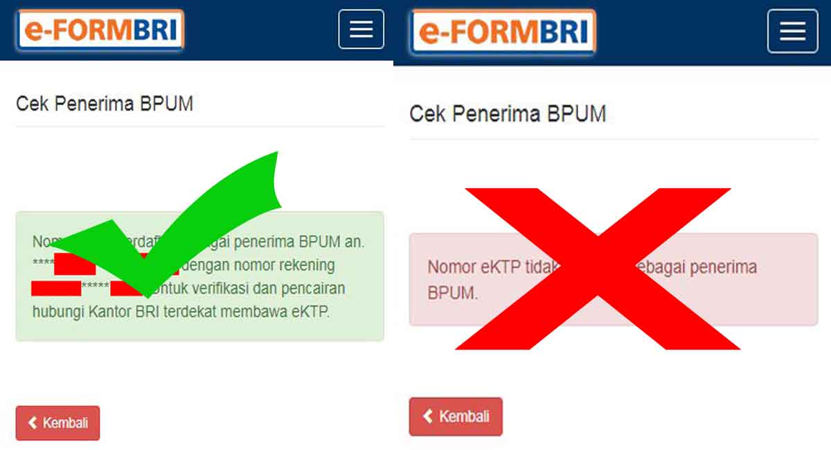 e-FORM BRI, BLT UMKM cair lagi