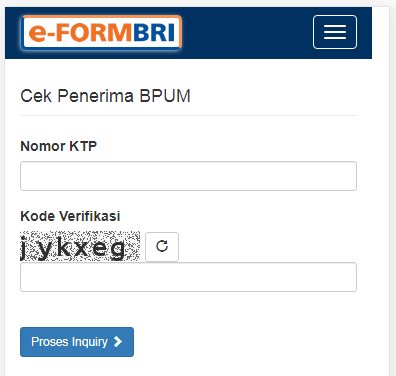 e-form BRI