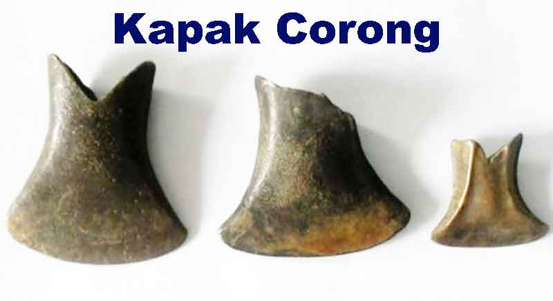 Kapak corong 1 Kapak Corong
