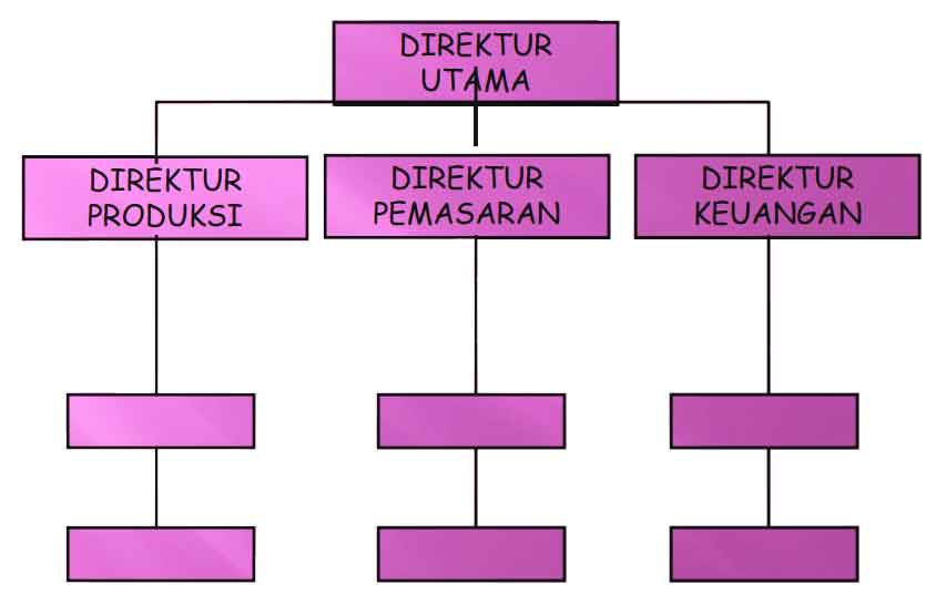 Fungsional organization