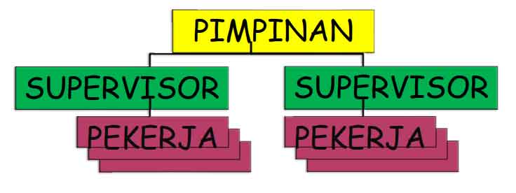 line organisation