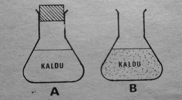 gambar ilustrasi percobaan Spallanzani