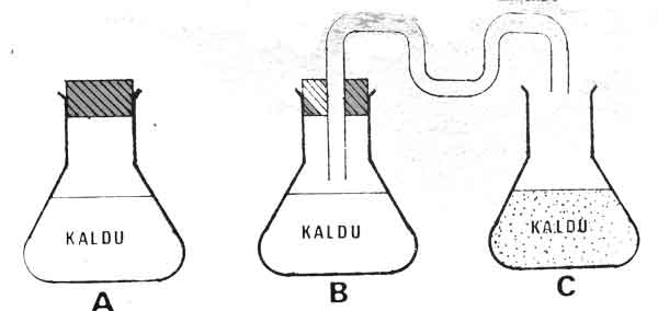 gambar ilustrasi percobaan pasteur